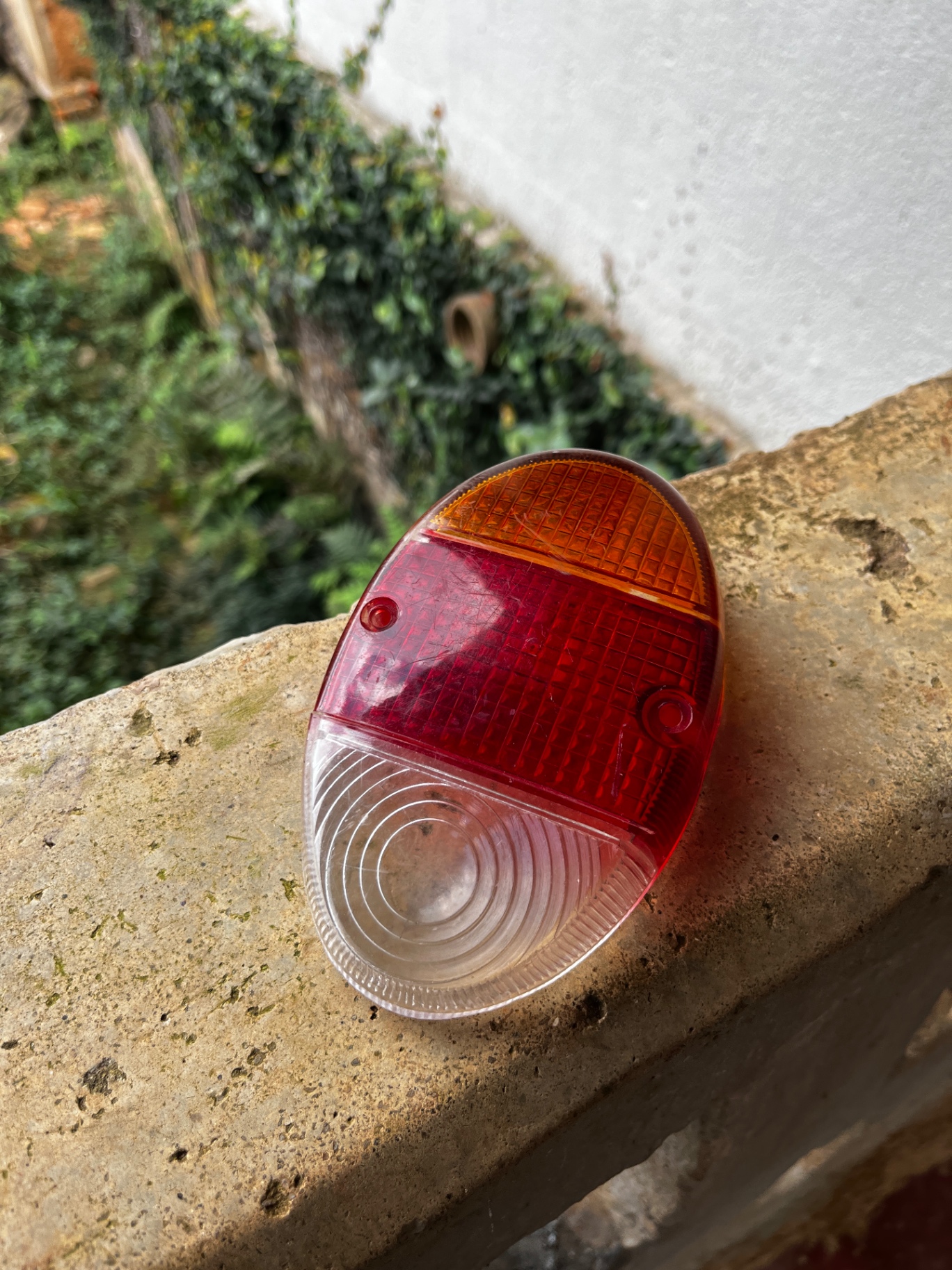 Lente Jurema — foto 3